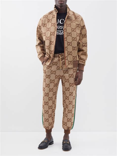 gucci web